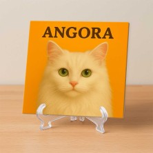 Gato Angora diseño decorativo