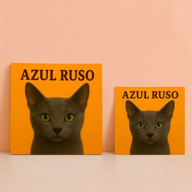 Gato Azul Ruso diseño decorativo