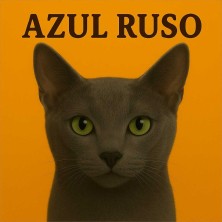 Gato Azul Ruso diseño decorativo