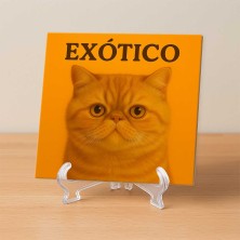 Gato Exótico diseño decorativo
