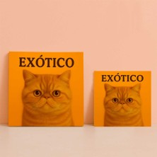 Gato Exótico diseño decorativo