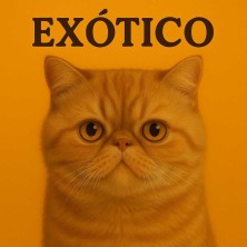 Gato Exótico diseño decorativo