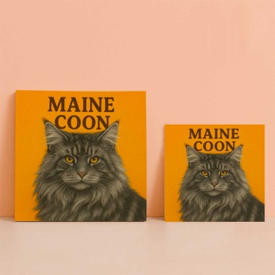 Gato Maine Coon oscuro