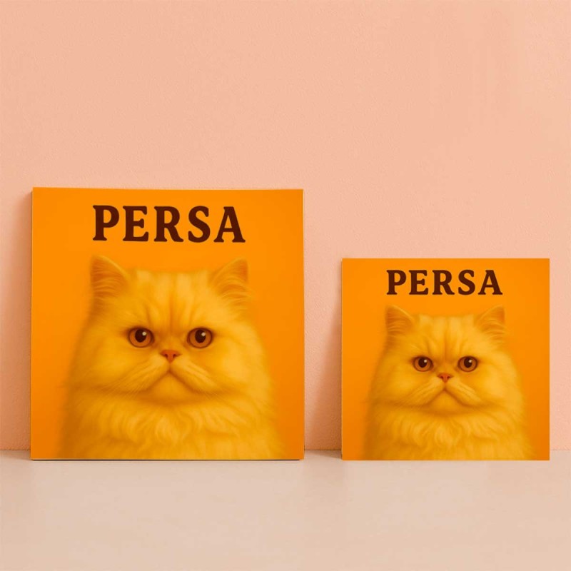 Gato Persa ilustración