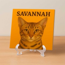 Gato Savannah ilustración