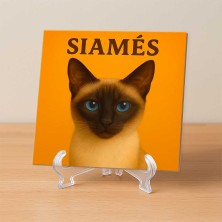 Gato Siamés ilustración