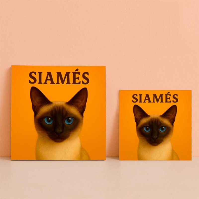 Gato Siamés ilustración