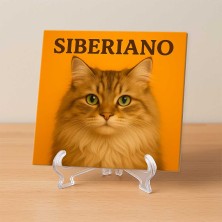Gato Siberiano ilustración