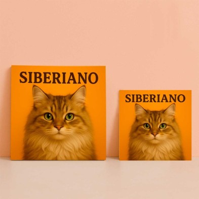 Gato Siberiano ilustración