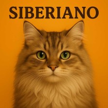 Gato Siberiano ilustración