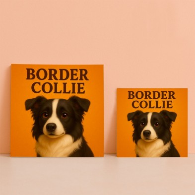 Border Collie – Ilustración divertida y decorativa
