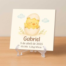 Pollito nacimiento personalizado con nombre y datos del bebé